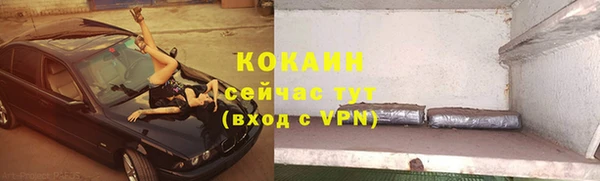 мяу мяу мука Гусиноозёрск