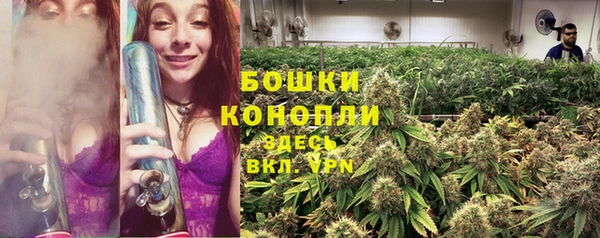 СК Гусь-Хрустальный