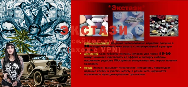 СК Гусь-Хрустальный