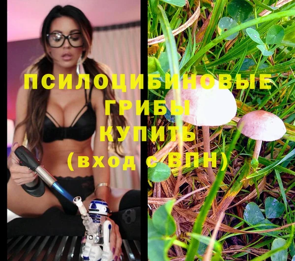твердый Горно-Алтайск