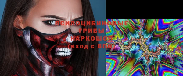 твердый Горно-Алтайск